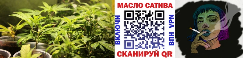 Купить закладки  Урус-Мартан  Дистиллят ТГК THC oil 