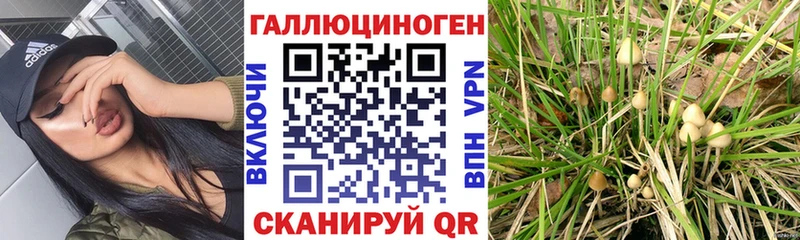 Галлюциногенные грибы ЛСД  Купить закладки  Урус-Мартан 